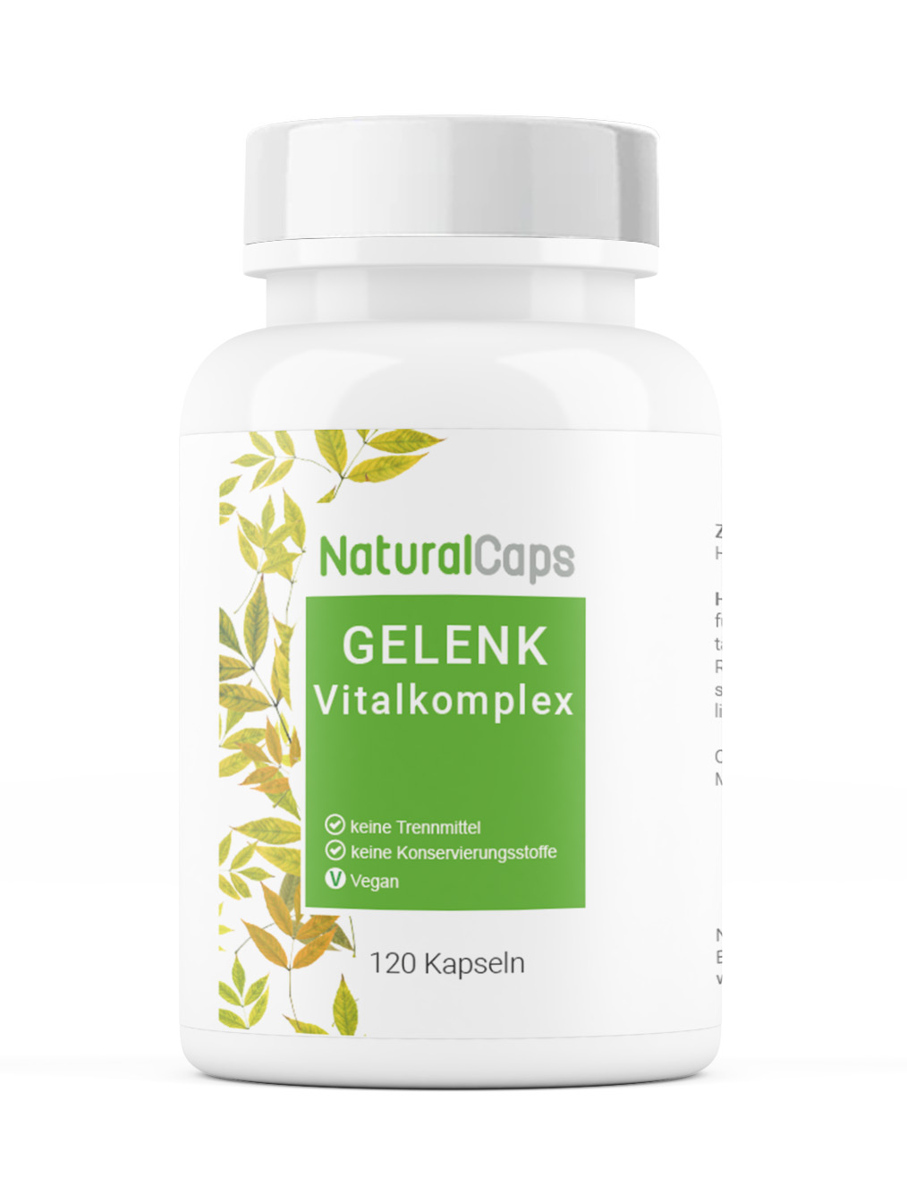 Gelenk Vital